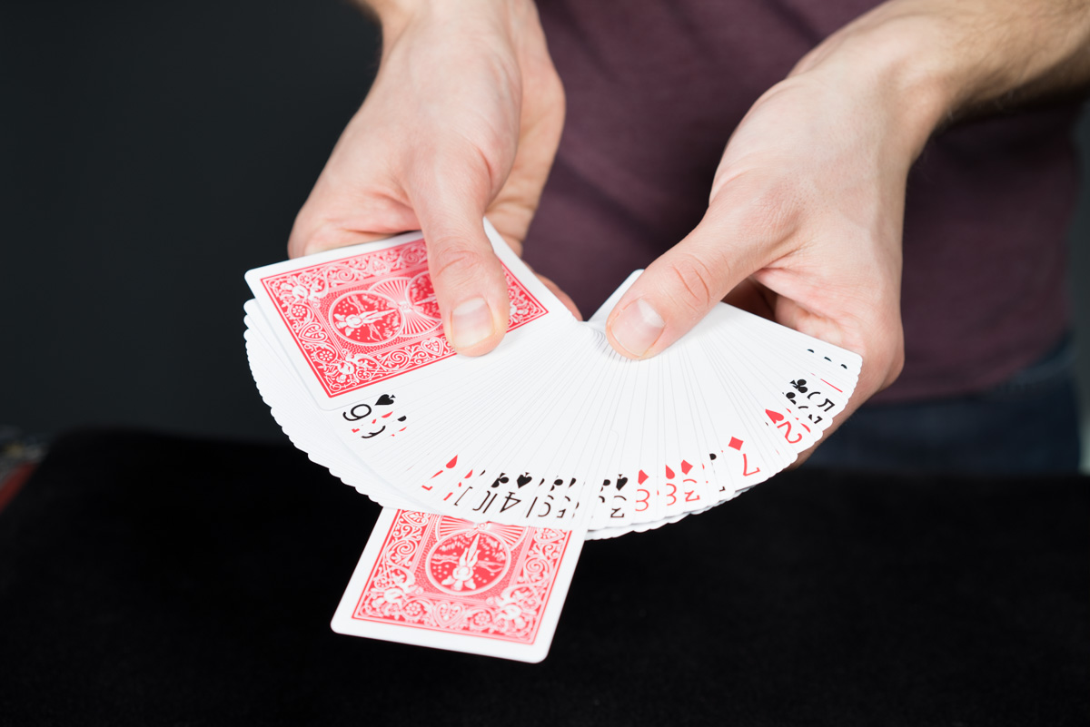 Sheldon Teaching Tricks-8989